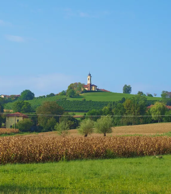 Cammino di don Bosco